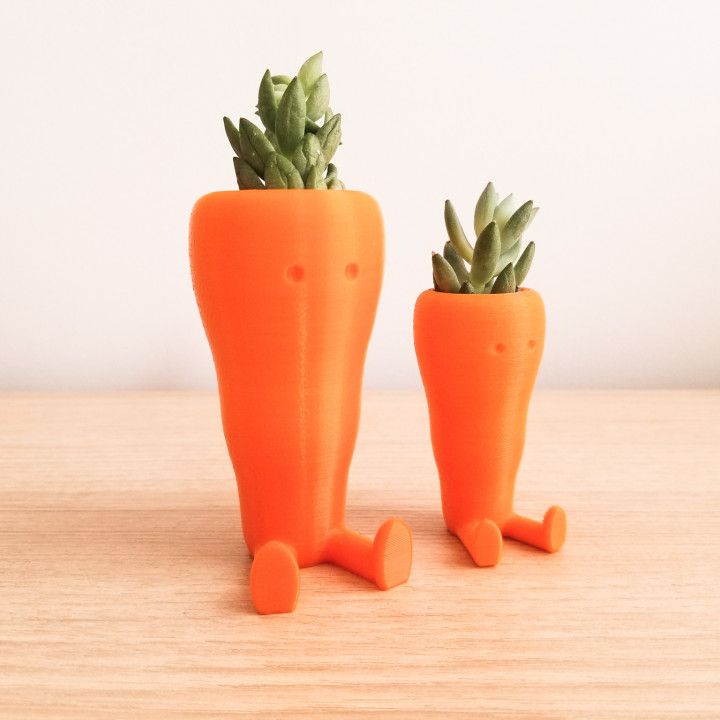 Cute Carrot Shaped Suculent planter