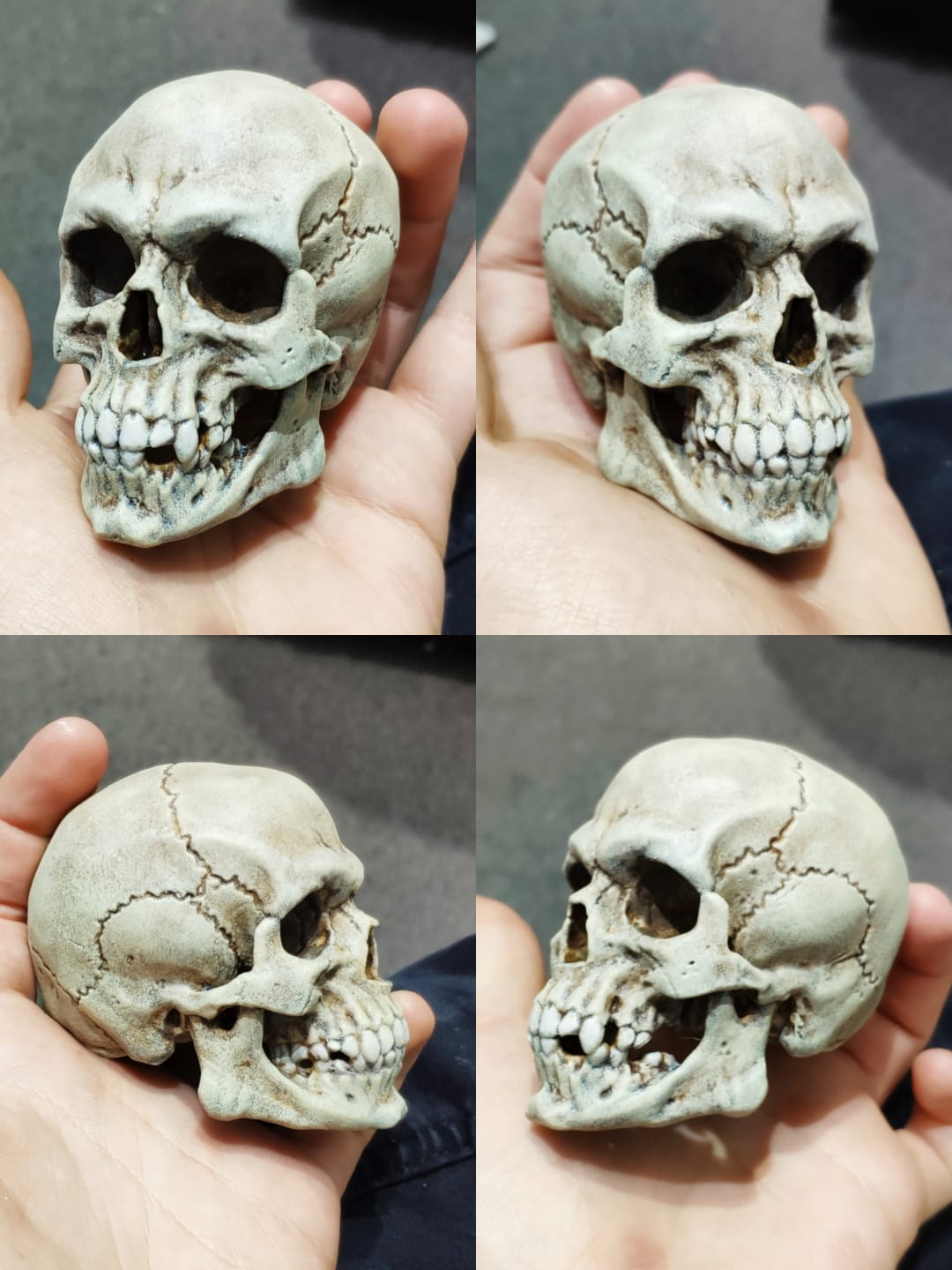 3D Printable Free Detailed Skull by Arminas Didziokas