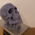 Free Detailed Skull print image