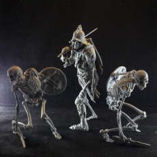 Picture of print of Evil Skeleton Knight
