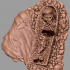 Anubis and Mummy image
