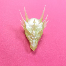 Picture of print of dragon skull