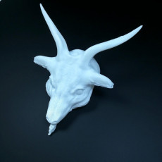 Picture of print of Goat This print has been uploaded by Li Wei Bing