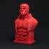 Hellboy Bust image