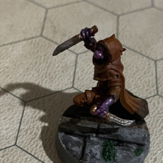 Picture of print of dragonborn thief run
