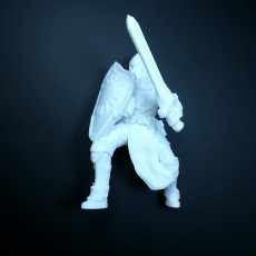 Picture of print of Human paladin with sword and sheld This print has been uploaded by Li Wei Bing