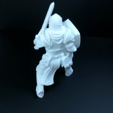 Picture of print of Human paladin with sword and sheld This print has been uploaded by Li Wei Bing