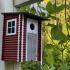 Birdhouse like an outhouse image
