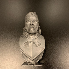 Picture of print of Jon Snow bust This print has been uploaded by lecter