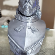 Picture of print of Jon Snow bust Cet objet imprimé a été téléchargé par Guilherme Rigon