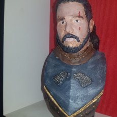 Picture of print of Jon Snow bust This print has been uploaded by Mendy Youb