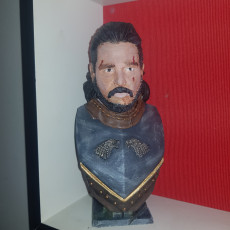 Picture of print of Jon Snow bust This print has been uploaded by Mendy Youb