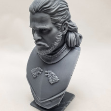 Picture of print of Jon Snow bust Cet objet imprimé a été téléchargé par Ricky