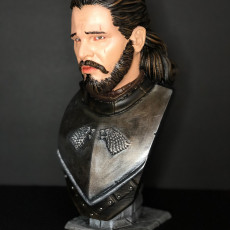 Picture of print of Jon Snow bust This print has been uploaded by Daniele Prencipe