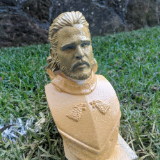 Picture of print of Jon Snow bust This print has been uploaded by Wade tubman
