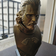 Picture of print of Jon Snow bust This print has been uploaded by Federico Medina