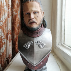 Picture of print of Jon Snow bust Cet objet imprimé a été téléchargé par Anton NazarOFF