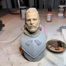 Picture of print of Jon Snow bust