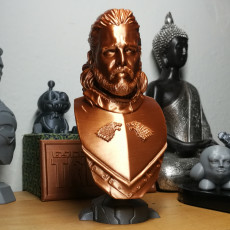 Picture of print of Jon Snow bust Cet objet imprimé a été téléchargé par Tom