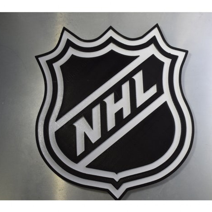 NHL Dual Color Logo