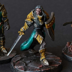 Picture of print of Sister Rogetta - Human Female Paladin