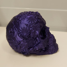 Picture of print of Fancy Skull 1 This print has been uploaded by Anthony Fortin