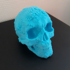 Picture of print of Fancy Skull 1 This print has been uploaded by Dave