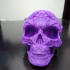 Fancy Skull 1 print image