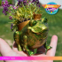 Froggy Planter - no supports image
