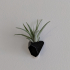 Angular succulent/air plant wall planter image
