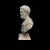 Roman Head of Hero Herakles image