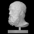 Sophocles, Farnese type image