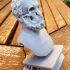 Bust of an unknown philosopher print image