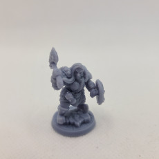 Picture of print of Dwarven Defender - D (Lady) Modular This print has been uploaded by Taylor Tarzwell