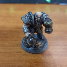Picture of print of Dwarven Defenders - 6 Modular Units