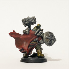 Picture of print of Flokir the Skald - Modular Dwarven Skald This print has been uploaded by Muz