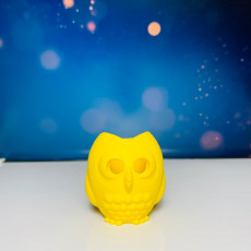 Picture of print of Owl Buddy