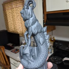 Picture of print of Enki the Capricorn (Single Material version)