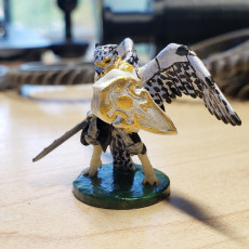 Picture of print of Aarakocra Knight This print has been uploaded by Norris Dupré