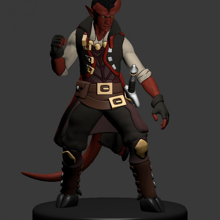 A Tiefling Monk that was designed to be more like a swashbuckler type chara...
