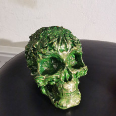 Picture of print of Fancy Skull 2 - HIGH RES - NO SUPPORTS
