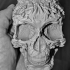 Fancy Skull 2 - HIGH RES - NO SUPPORTS print image