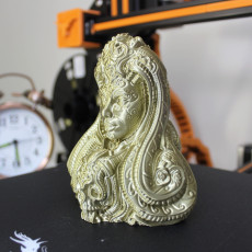 Picture of print of artifact 6 This print has been uploaded by Robin 3Dverse