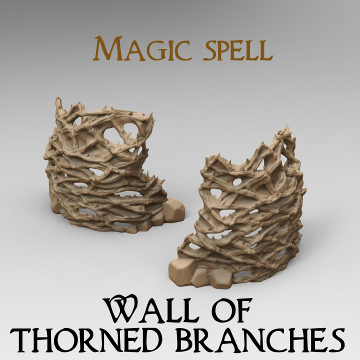 $2.00Magic Spell : Wall of Thorned branches