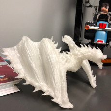 Picture of print of Dragon