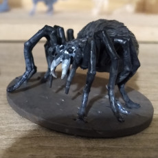 Picture of print of Skullspider