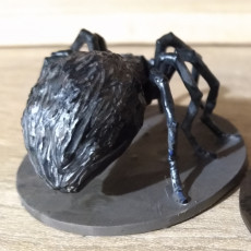 Picture of print of Skullspider
