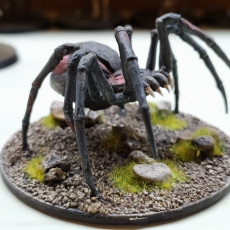 Picture of print of Undead Spider