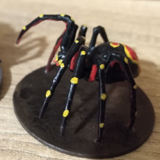 Picture of print of Undead Spider