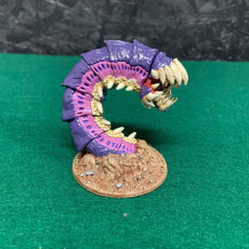 Picture of print of Purple Worm
